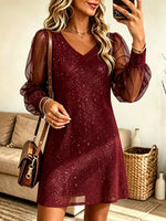 Women's Glitter Shimmer Sheer Sleeve A-Line Dress
